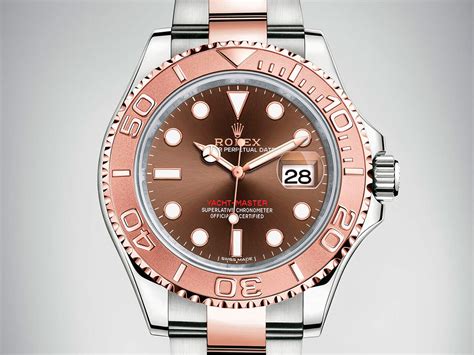 rolex yacht master rose gold 2 tone chocolate|rolex yachtmaster rose gold price.